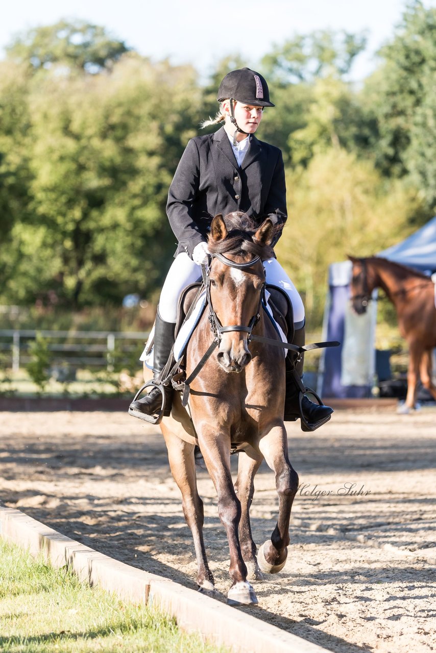 Bild 70 - Pony Akademie Turnier